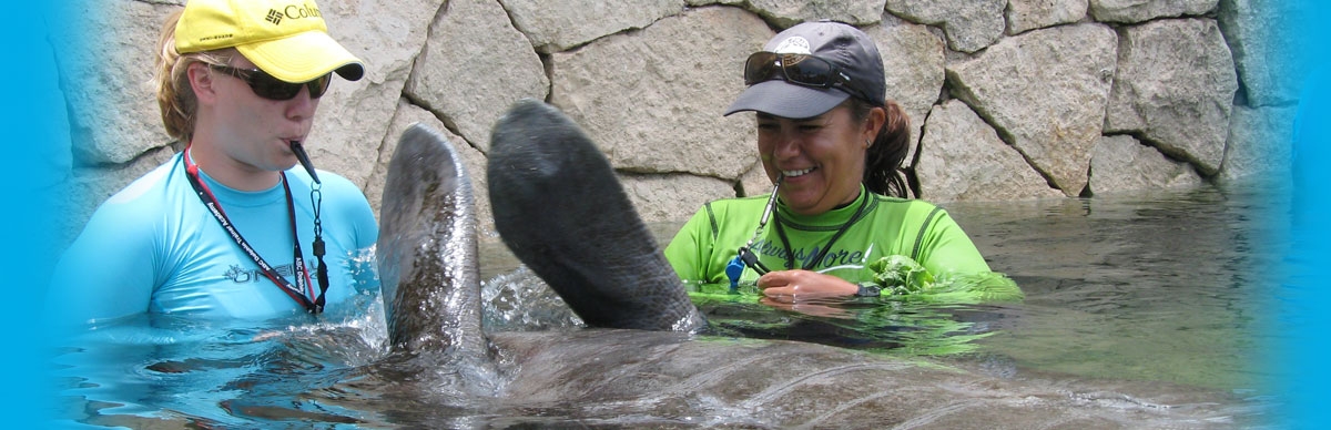 #htmlcaption9