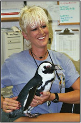 Beth Ament Beth Ament, CVT and Animal Behavior Consultant