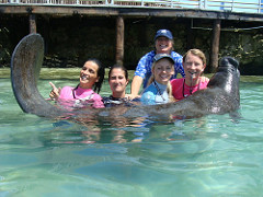 ABC Dolphin Trainer Academy ABC Dolphin Trainer Academy at Dolphin Discovery, Isla Mujeres