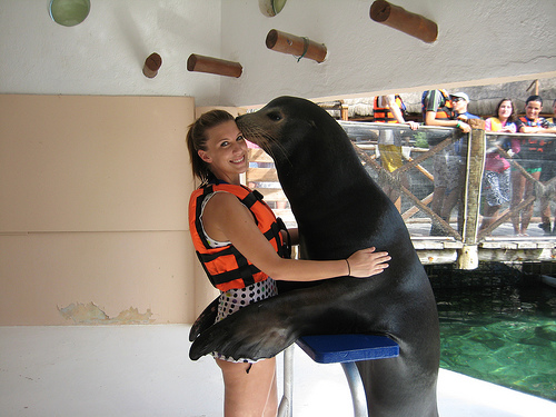 Sea lion training Jackie gets a hug at ABC Dolphin Trainer Academy