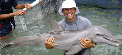 Raul with dolphin calf Raul with dolphn calf at Dolphin Discovery Tortola